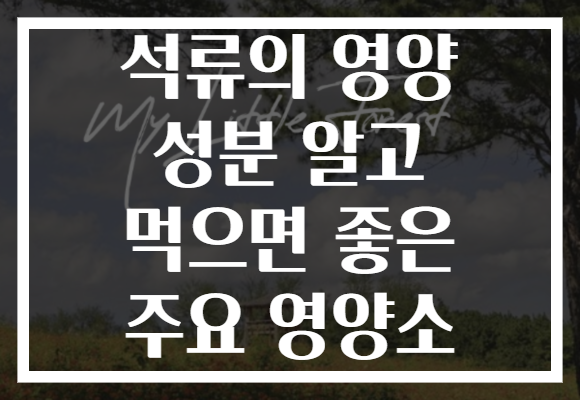 석류의 영양 성분 알고 먹으면 좋은 주요 영양소 석류의 영양 성분 알고 먹으면 좋은 주요 영양소