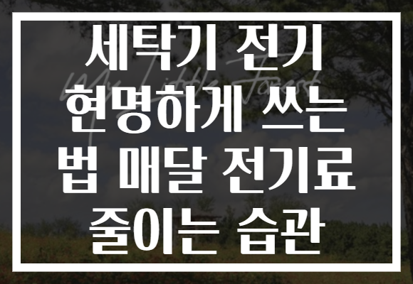 세탁기 전기 현명하게 쓰는 법 매달 전기료 줄이는 습관