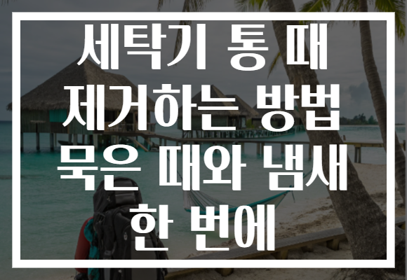 세탁기 통 때 제거하는 방법 묵은 때와 냄새 한 번에