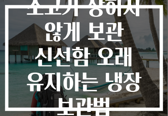 소고기 상하지 않게 보관 신선함 오래 유지하는 냉장 보관법