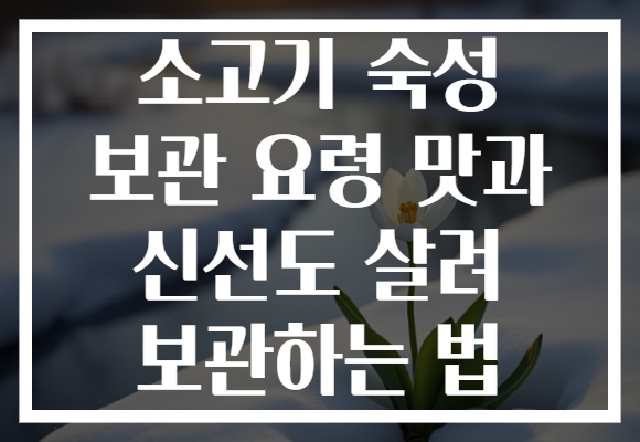 소고기 숙성 보관 요령 맛과 신선도 살려 보관하는 법 소고기 숙성 보관 요령 맛과 신선도 살려 보관하는 법