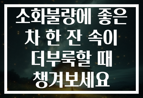 소화불량에 좋은 차 한 잔 속이 더부룩할 때 챙겨보세요