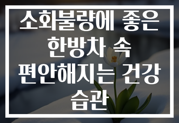 소화불량에 좋은 한방차 속 편안해지는 건강 습관