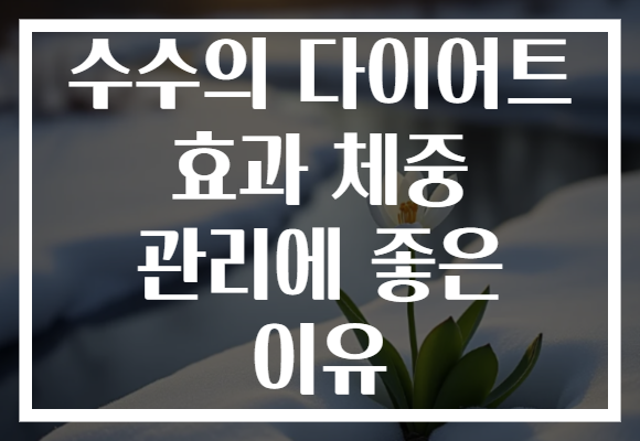 수수의 다이어트 효과 체중 관리에 좋은 이유