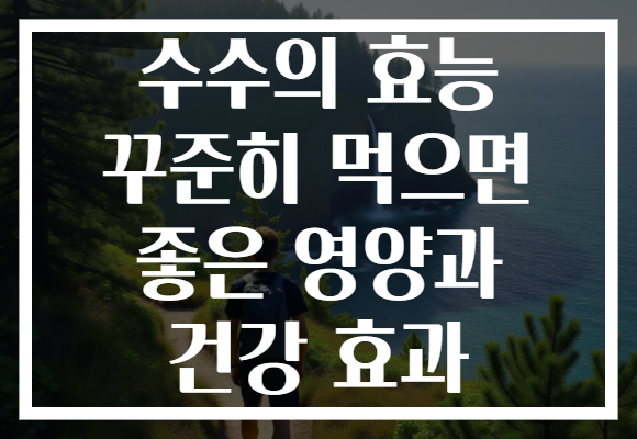 수수의 효능 꾸준히 먹으면 좋은 영양과 건강 효과 수수의 효능 꾸준히 먹으면 좋은 영양과 건강 효과