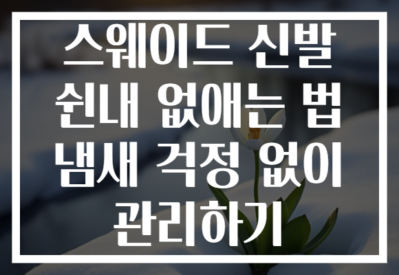 스웨이드 신발 쉰내 없애는 법 냄새 걱정 없이 관리하기