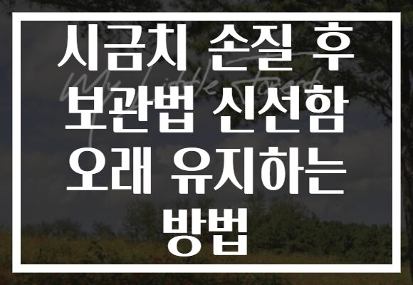 시금치 손질 후 보관법 신선함 오래 유지하는 방법 시금치 손질 후 보관법 신선함 오래 유지하는 방법