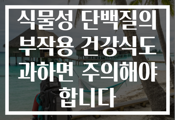 식물성 단백질의 부작용 건강식도 과하면 주의해야 합니다 식물성 단백질의 부작용 건강식도 과하면 주의해야 합니다