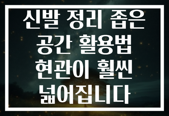 신발 정리 좁은 공간 활용법 현관이 훨씬 넓어집니다 신발 정리 좁은 공간 활용법 현관이 훨씬 넓어집니다