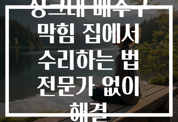 싱크대 배수구 막힘 집에서 수리하는 법 전문가 없이 해결 싱크대 배수구 막힘 집에서 수리하는 법 전문가 없이 해결