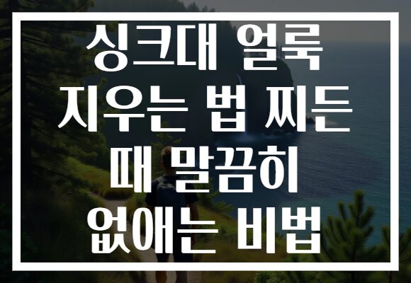 싱크대 얼룩 지우는 법 찌든 때 말끔히 없애는 비법 싱크대 얼룩 지우는 법 찌든 때 말끔히 없애는 비법