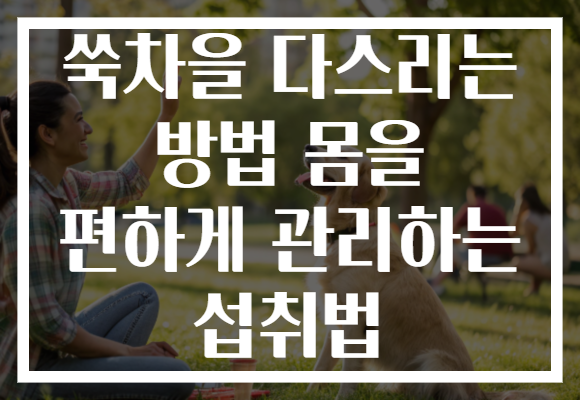쑥차을 다스리는 방법 몸을 편하게 관리하는 섭취법 쑥차을 다스리는 방법 몸을 편하게 관리하는 섭취법