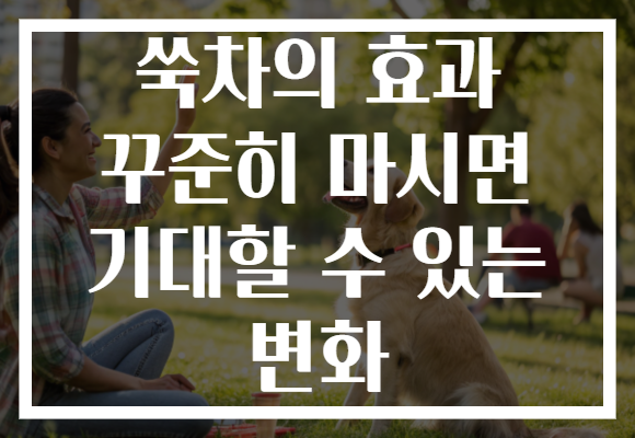 쑥차의 효과 꾸준히 마시면 기대할 수 있는 변화