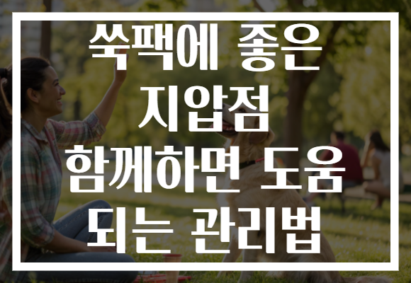 쑥팩에 좋은 지압점 함께하면 도움 되는 관리법 쑥팩에 좋은 지압점 함께하면 도움 되는 관리법