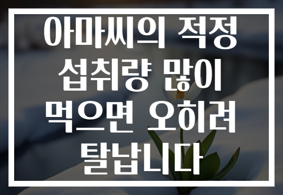 아마씨의 적정 섭취량 많이 먹으면 오히려 탈납니다 아마씨의 적정 섭취량 많이 먹으면 오히려 탈납니다