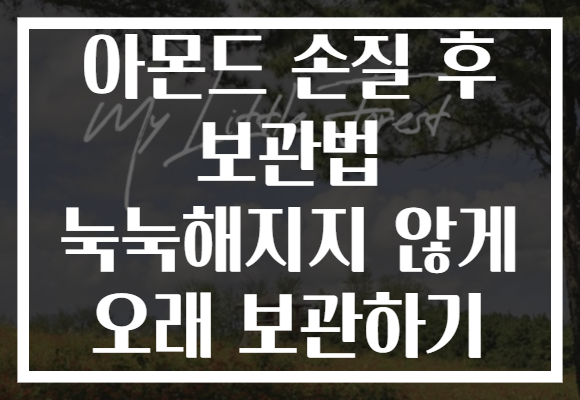아몬드 손질 후 보관법 눅눅해지지 않게 오래 보관하기 아몬드 손질 후 보관법 눅눅해지지 않게 오래 보관하기