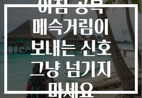아침 공복 메슥거림이 보내는 신호 그냥 넘기지 마세요 아침 공복 메슥거림이 보내는 신호 그냥 넘기지 마세요