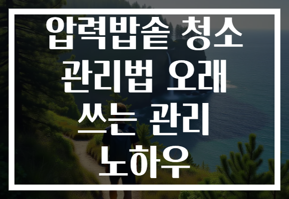 압력밥솥 청소 관리법 오래 쓰는 관리 노하우 압력밥솥 청소 관리법 오래 쓰는 관리 노하우