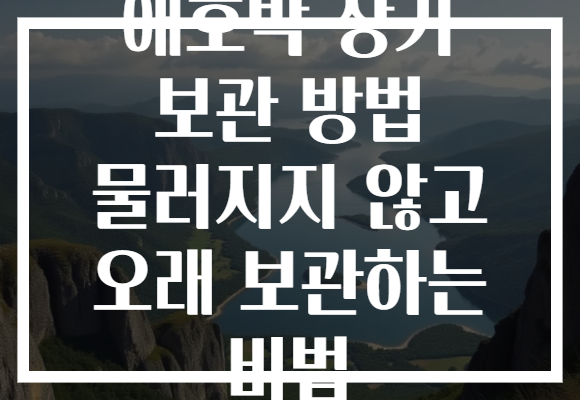 애호박 장기 보관 방법 물러지지 않고 오래 보관하는 비법