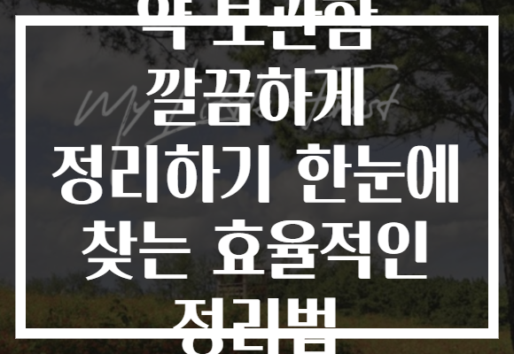약 보관함 깔끔하게 정리하기 한눈에 찾는 효율적인 정리법 약 보관함 깔끔하게 정리하기 한눈에 찾는 효율적인 정리법