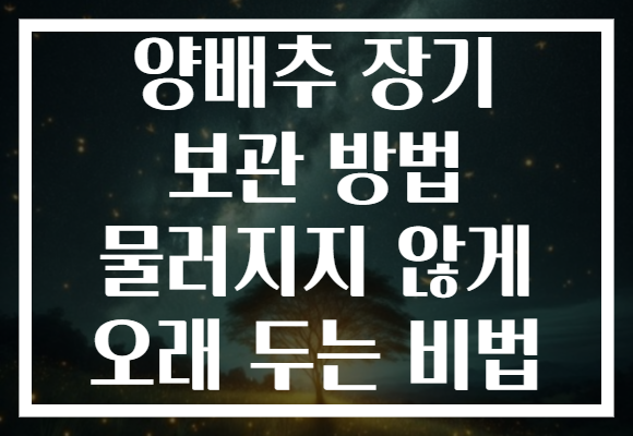 양배추 장기 보관 방법 물러지지 않게 오래 두는 비법 양배추 장기 보관 방법 물러지지 않게 오래 두는 비법