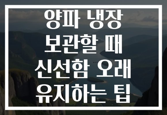 양파 냉장 보관할 때 신선함 오래 유지하는 팁 양파 냉장 보관할 때 신선함 오래 유지하는 팁