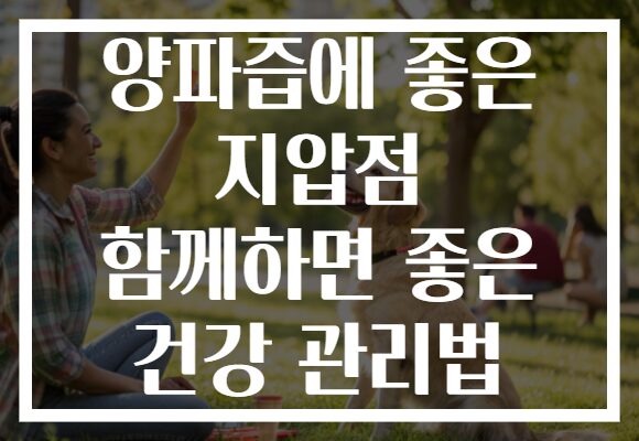 양파즙에 좋은 지압점 함께하면 좋은 건강 관리법