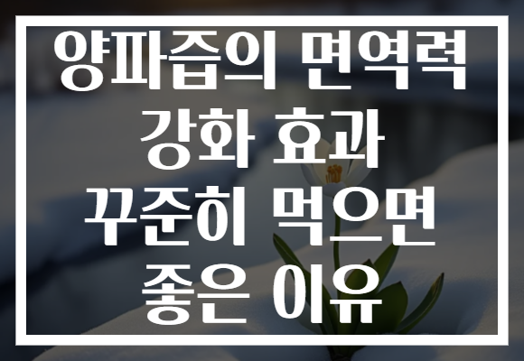 양파즙의 면역력 강화 효과 꾸준히 먹으면 좋은 이유 양파즙의 면역력 강화 효과 꾸준히 먹으면 좋은 이유