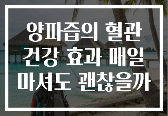 양파즙의 혈관 건강 효과 매일 마셔도 괜찮을까 양파즙의 혈관 건강 효과 매일 마셔도 괜찮을까