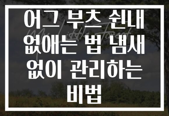 어그 부츠 쉰내 없애는 법 냄새 없이 관리하는 비법 어그 부츠 쉰내 없애는 법 냄새 없이 관리하는 비법