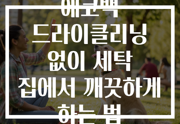 에코백 드라이클리닝 없이 세탁 집에서 깨끗하게 하는 법 에코백 드라이클리닝 없이 세탁 집에서 깨끗하게 하는 법