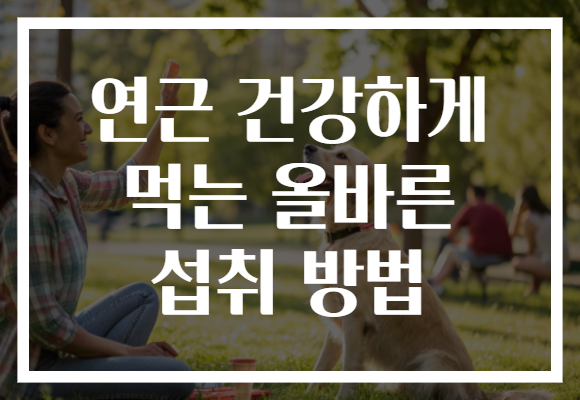 연근 건강하게 먹는 올바른 섭취 방법 연근 건강하게 먹는 올바른 섭취 방법