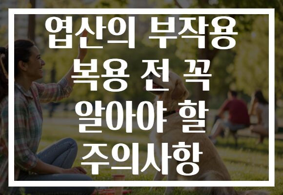 엽산의 부작용 복용 전 꼭 알아야 할 주의사항