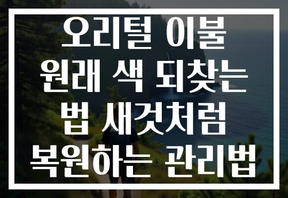 오리털 이불 원래 색 되찾는 법 새것처럼 복원하는 관리법 오리털 이불 원래 색 되찾는 법 새것처럼 복원하는 관리법