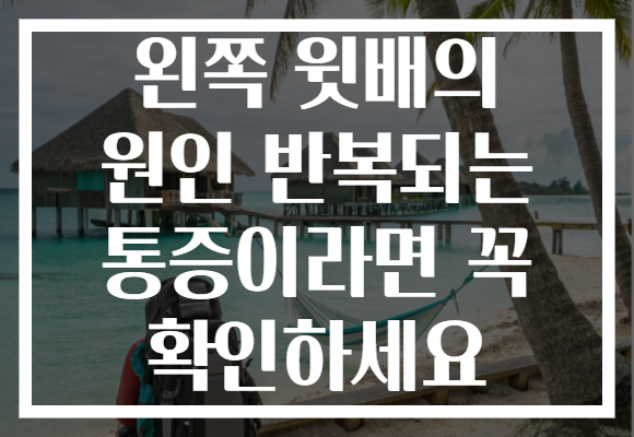 왼쪽 윗배의 원인 반복되는 통증이라면 꼭 확인하세요 왼쪽 윗배의 원인 반복되는 통증이라면 꼭 확인하세요