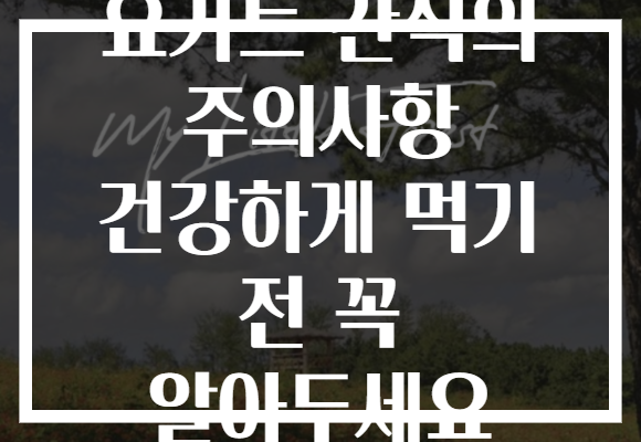 요거트 간식의 주의사항 건강하게 먹기 전 꼭 알아두세요 요거트 간식의 주의사항 건강하게 먹기 전 꼭 알아두세요