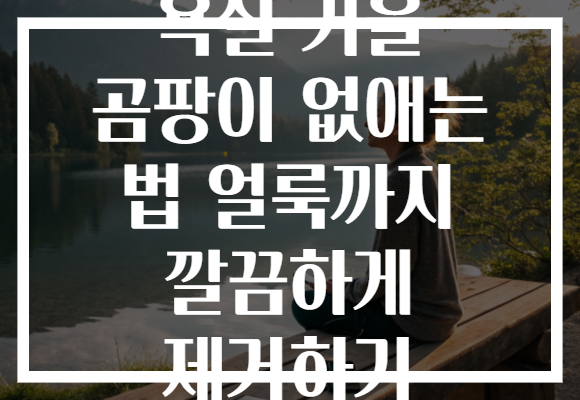 욕실 거울 곰팡이 없애는 법 얼룩까지 깔끔하게 제거하기 욕실 거울 곰팡이 없애는 법 얼룩까지 깔끔하게 제거하기