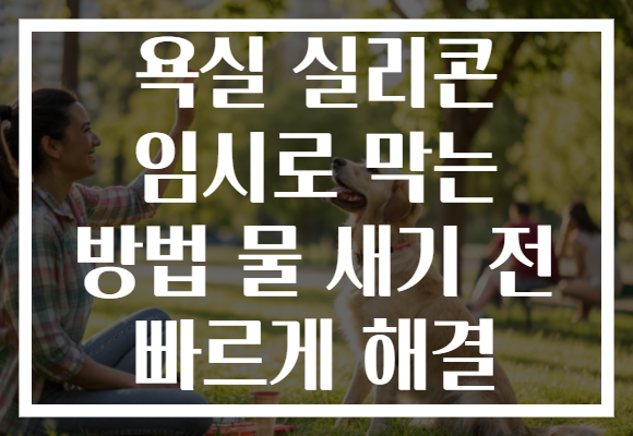 욕실 실리콘 임시로 막는 방법 물 새기 전 빠르게 해결 욕실 실리콘 임시로 막는 방법 물 새기 전 빠르게 해결