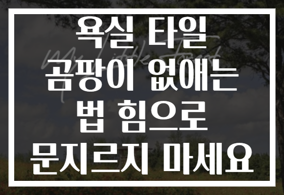 욕실 타일 곰팡이 없애는 법 힘으로 문지르지 마세요