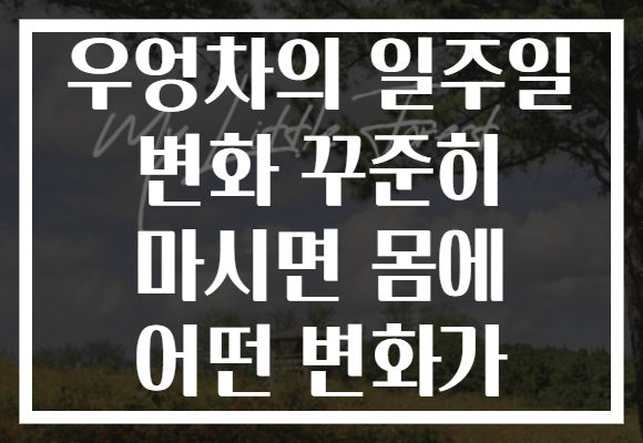 우엉차의 일주일 변화 꾸준히 마시면 몸에 어떤 변화가