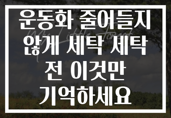 운동화 줄어들지 않게 세탁 세탁 전 이것만 기억하세요 운동화 줄어들지 않게 세탁 세탁 전 이것만 기억하세요