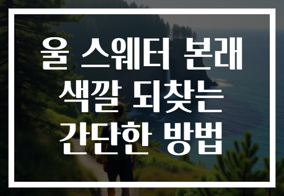 울 스웨터 본래 색깔 되찾는 간단한 방법