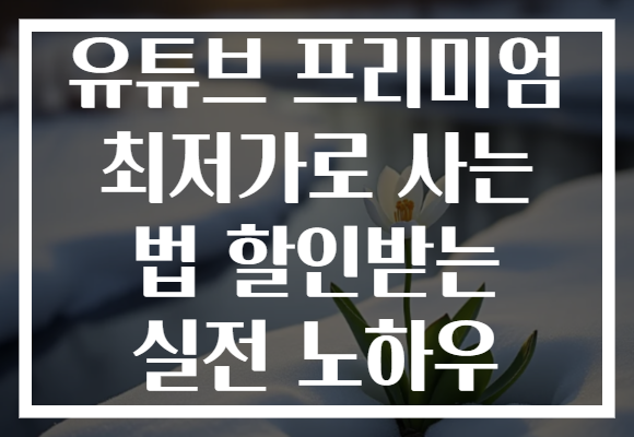 유튜브 프리미엄 최저가로 사는 법 할인받는 실전 노하우