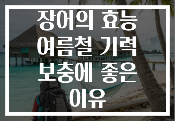 장어의 효능 여름철 기력 보충에 좋은 이유 장어의 효능 여름철 기력 보충에 좋은 이유
