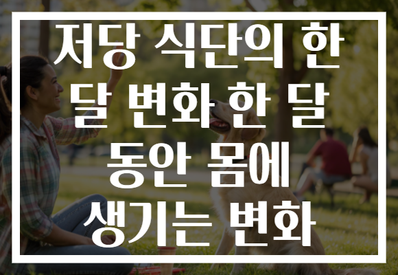 저당 식단의 한 달 변화 한 달 동안 몸에 생기는 변화 저당 식단의 한 달 변화 한 달 동안 몸에 생기는 변화