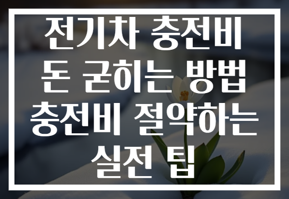 전기차 충전비 돈 굳히는 방법 충전비 절약하는 실전 팁