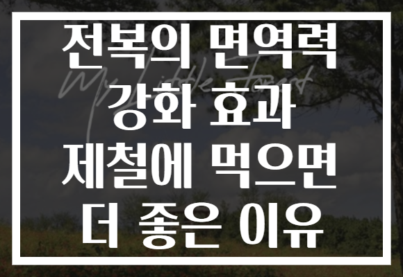 전복의 면역력 강화 효과 제철에 먹으면 더 좋은 이유 전복의 면역력 강화 효과 제철에 먹으면 더 좋은 이유
