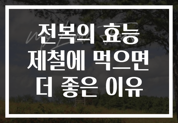 전복의 효능 제철에 먹으면 더 좋은 이유