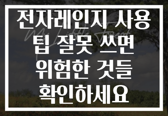 전자레인지 사용 팁 잘못 쓰면 위험한 것들 확인하세요
