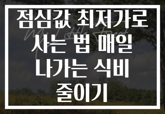 점심값 최저가로 사는 법 매일 나가는 식비 줄이기